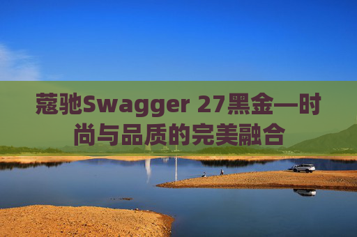 蔻驰Swagger 27黑金—时尚与品质的完美融合